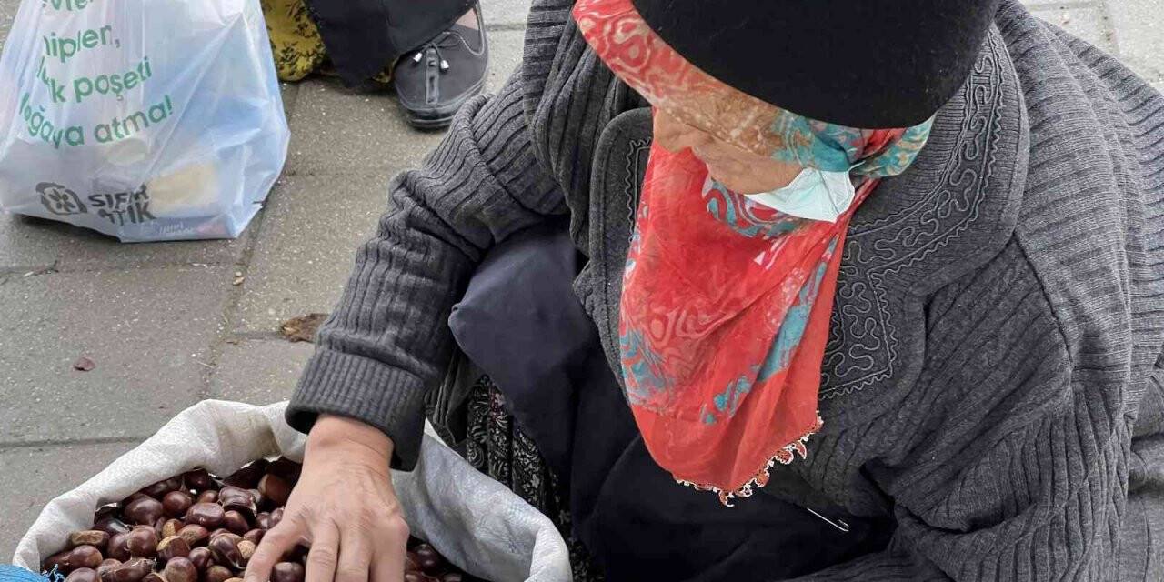 Düzce kestanesi tezgaha indi, kilosu 50 ile 70 liradan satılıyor