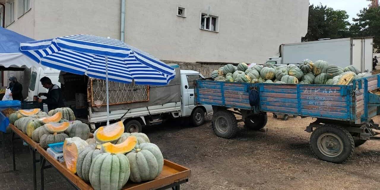 Mihalıççık’ta 30 kiloluk dev balkabaklarına ilgi yoğun