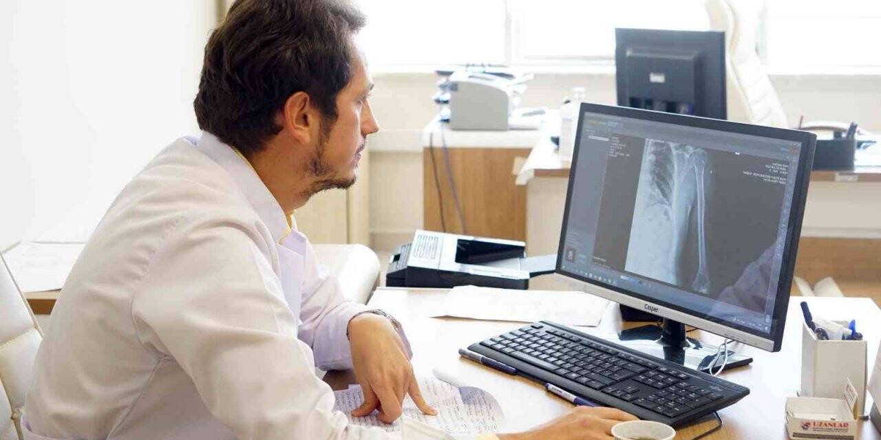 Ağaçtan düşen 3 kişi öldü, onlarca kişi yaralandı: Uzmanı uyardı