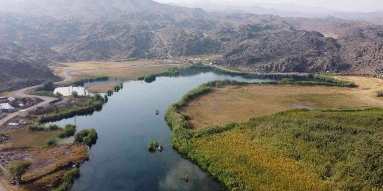 Ağrı Dağı Milli Parkı’nda sonbahar güzelliği