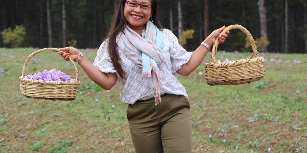 Dünyanın her yerinden safran görmeye geliyorlar