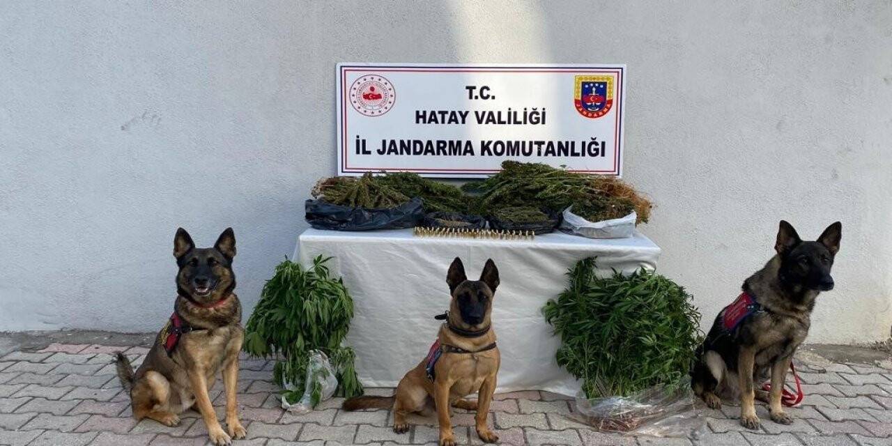 Hatay’da uyuşturucu operasyonunda 4 kişi gözaltına alındı