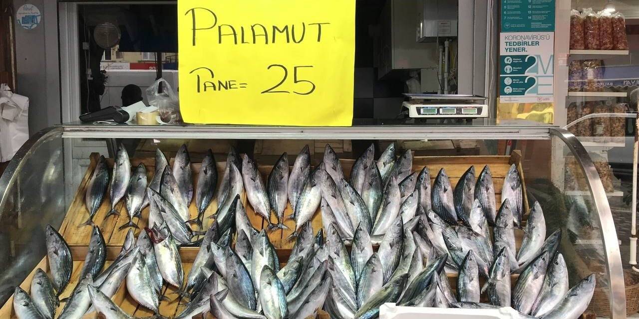 Karadeniz’de palamudun fiyatı 25 liraya düştü