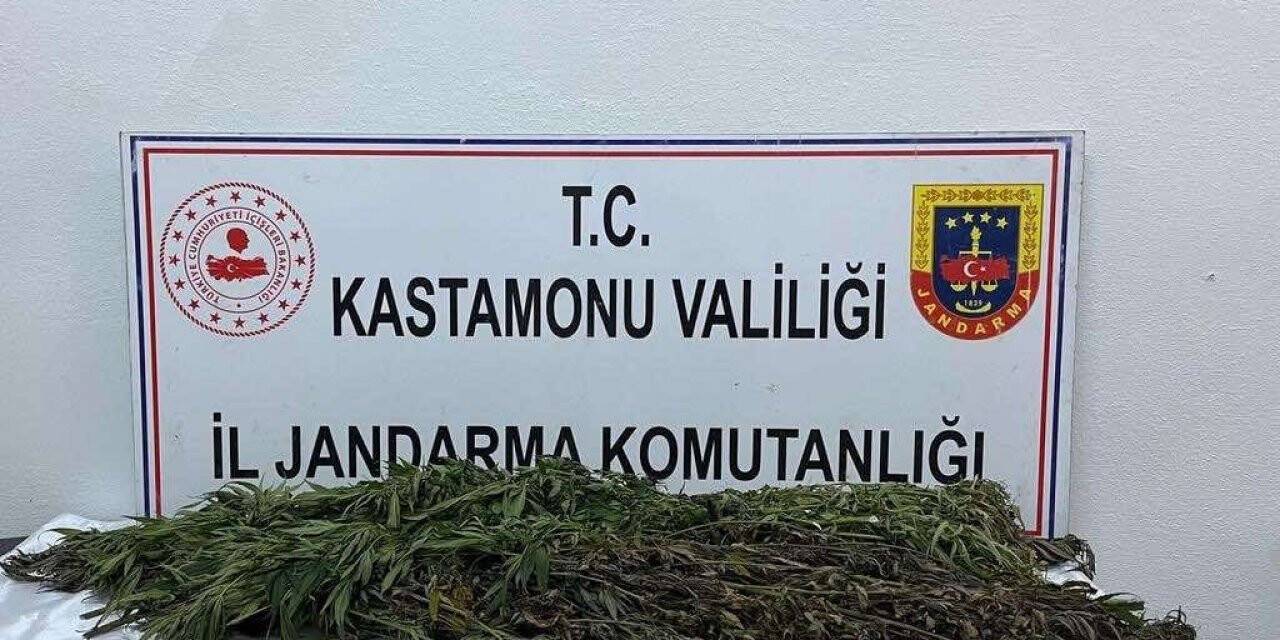 Uyuşturucu satan baba ve oğlunun evlerine jandarmadan operasyon: 2 gözaltı