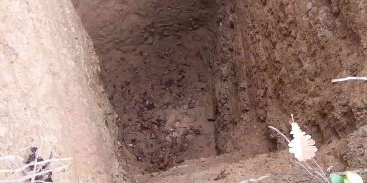 Mantar toplamaya gitti, gördüğü manzara karşısında şok oldu