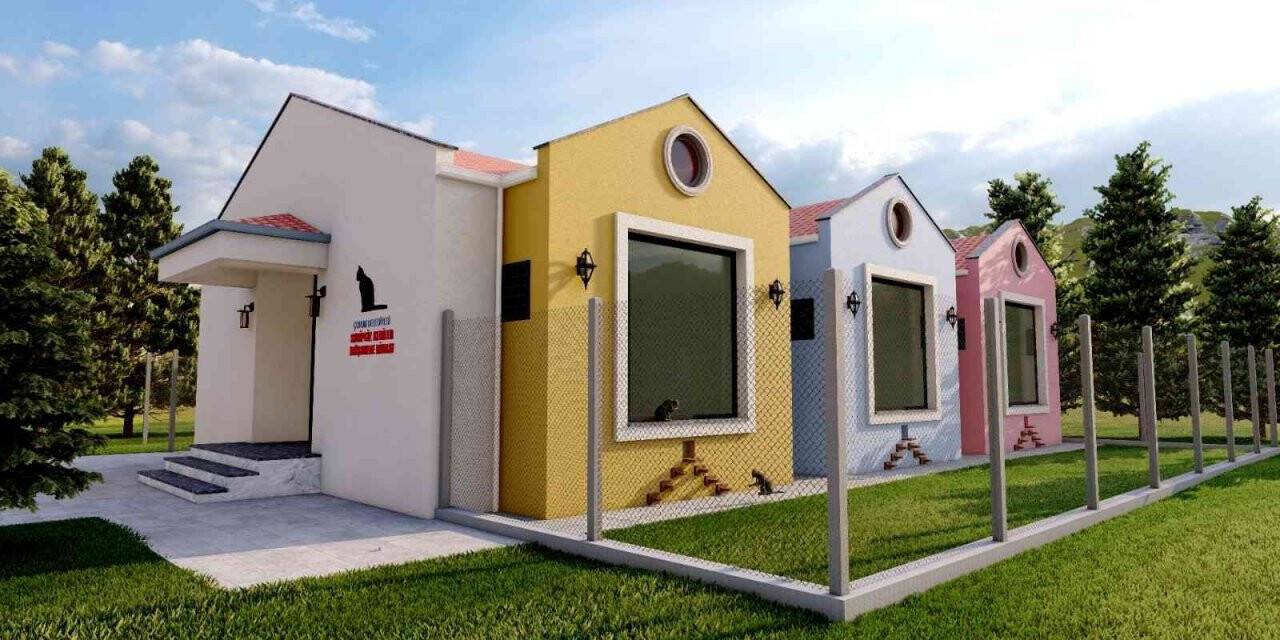 Çorum Belediyesinden kedi evi projesi