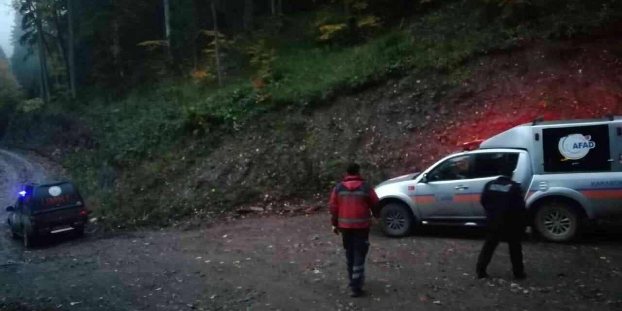 Mantar aramak için girdikleri ormanda kayboldular