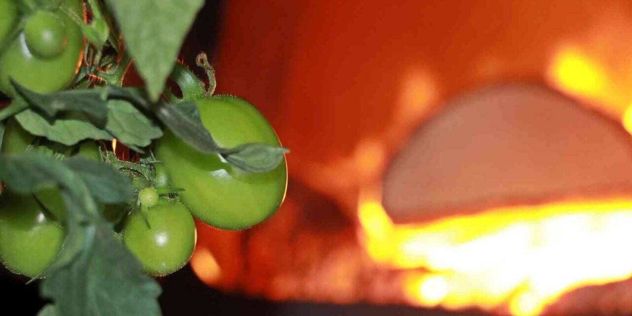 Erzincan, Bayburt, Erzurum ve Ardahan için zirai don uyarısı
