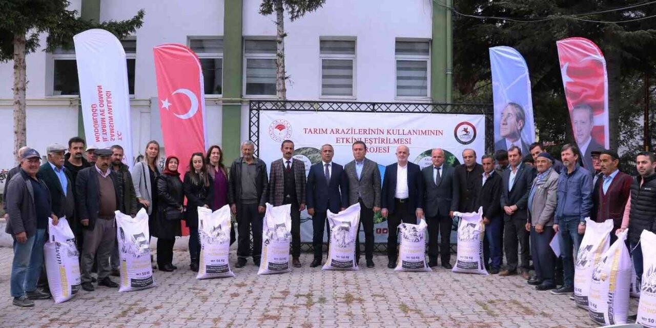 Samsun’da yerli ve milli buğday çeşitleri yaygınlaşıyor