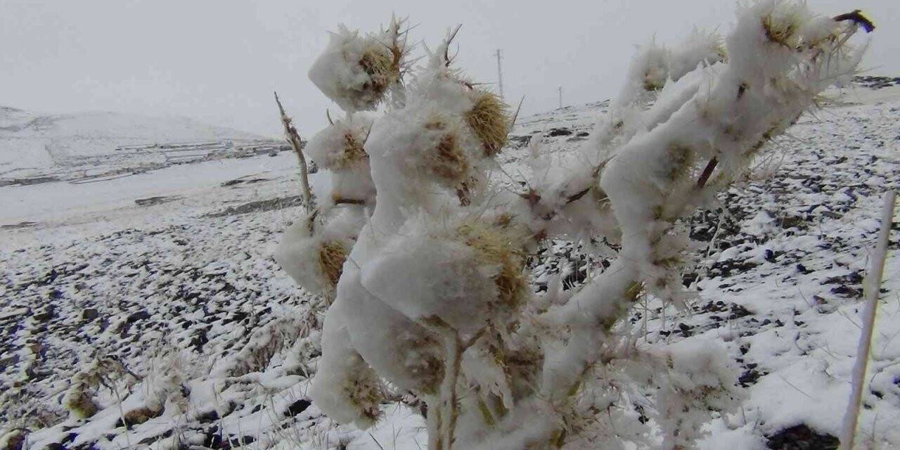 Kars’a mevsimin ilk karı yağdı