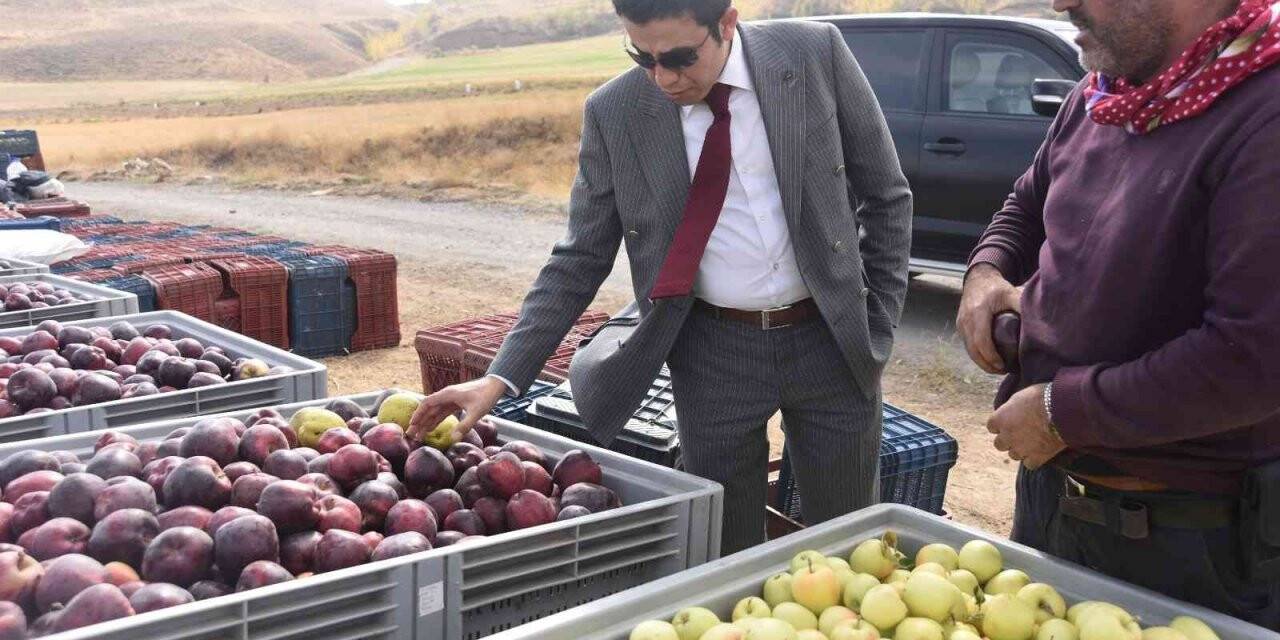 Ahlat elması yurt dışı pazarında