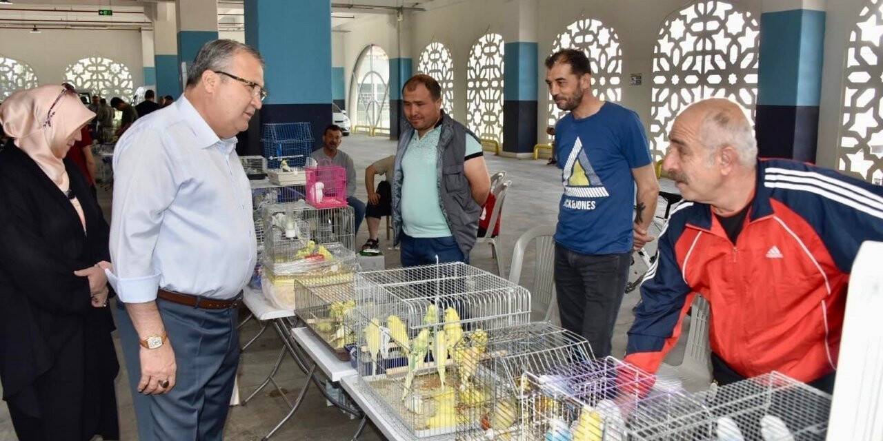 Kuş Pazarında Brahma Yarışması yapılacak