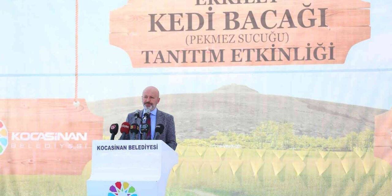 Başkan Çolakbayradar’dan Erkilet Kedi Bacağı etkinliğine davet