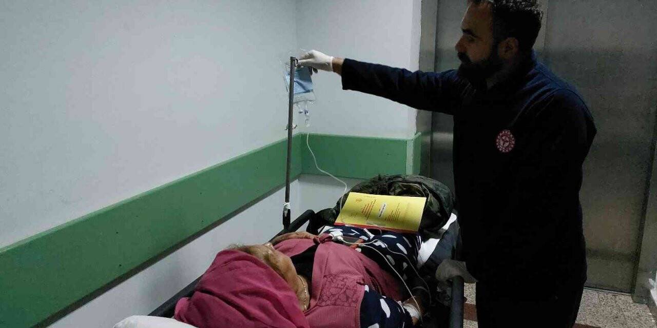 Araziden topladıkları mantarı yiyen 2 kadın zehirlendi