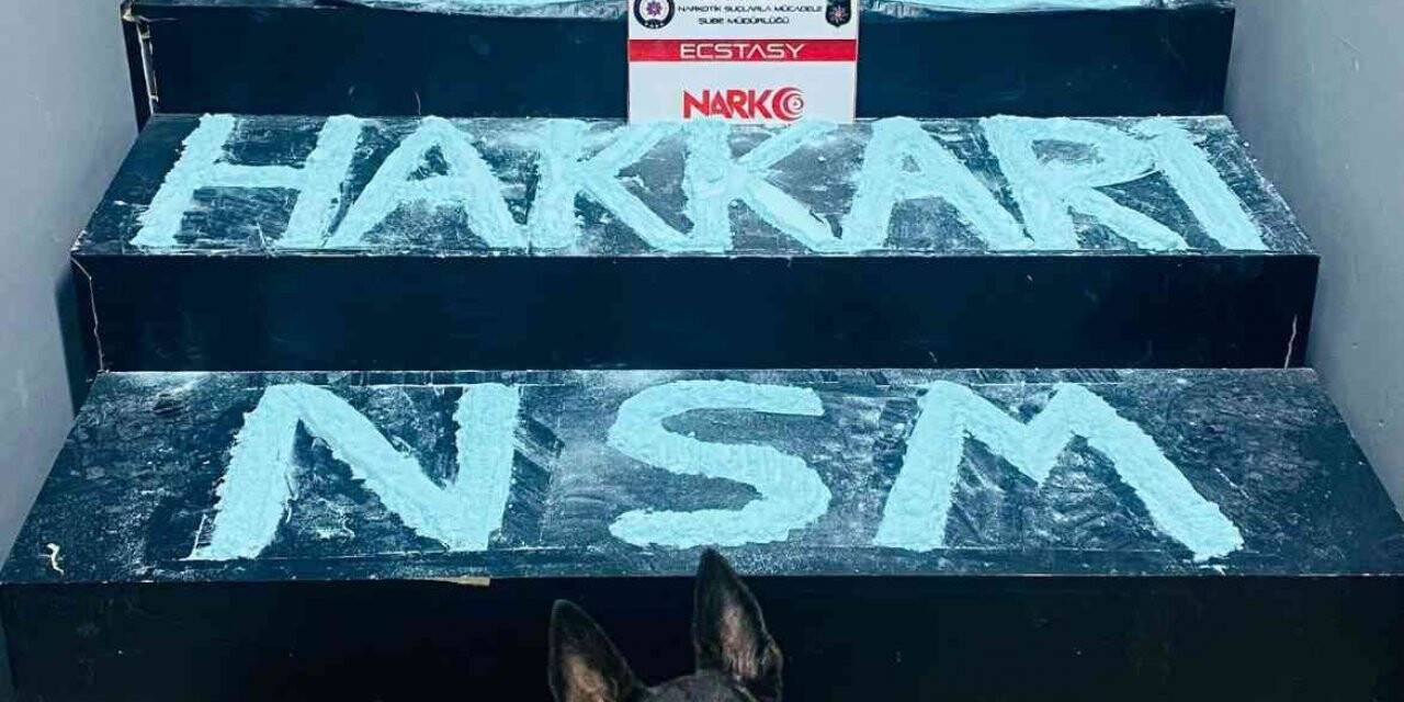 Hakkari’de 5 kilo ecstasy maddesi ele geçirildi