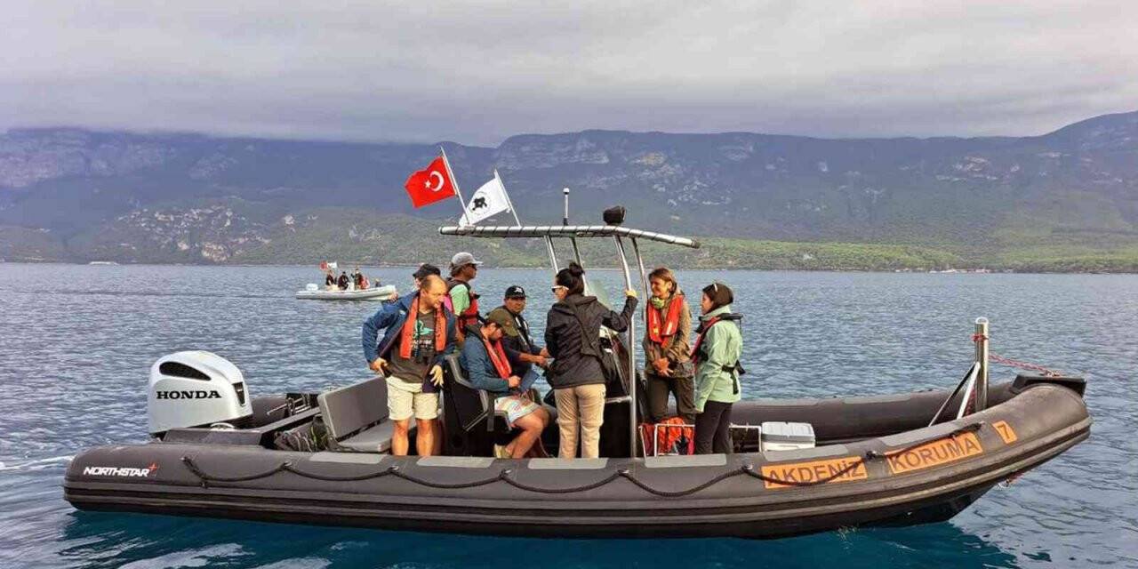 AKD’nin Gökova Körfezi çalışması dünyaya örnek