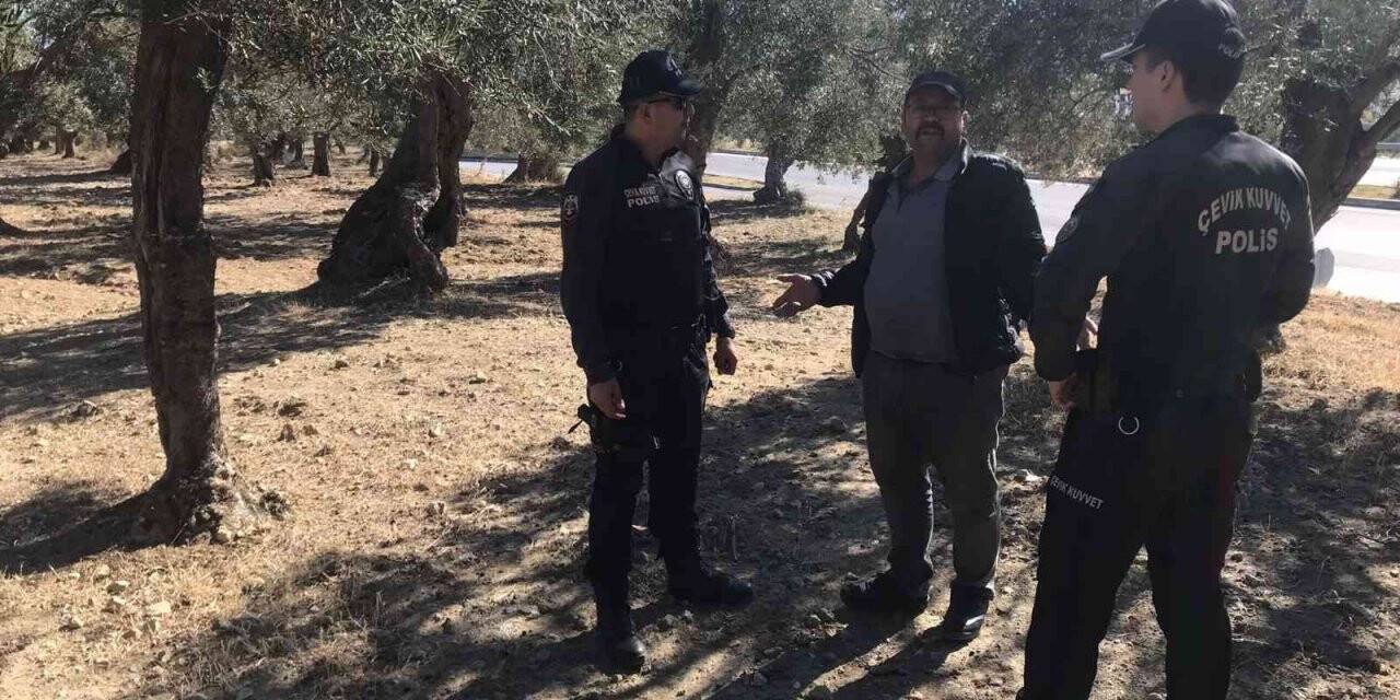 Edremit’te polis zeytin bahçelerinde denetim yaptı