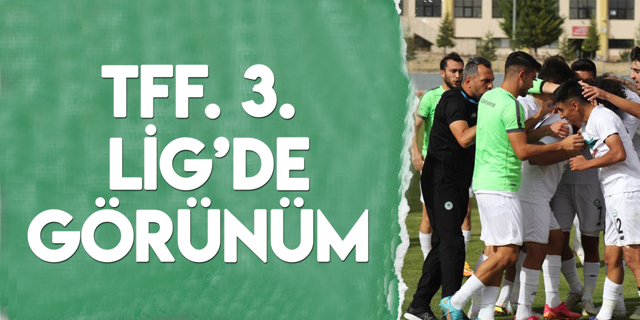 TFF 3. Lig'de görünüm