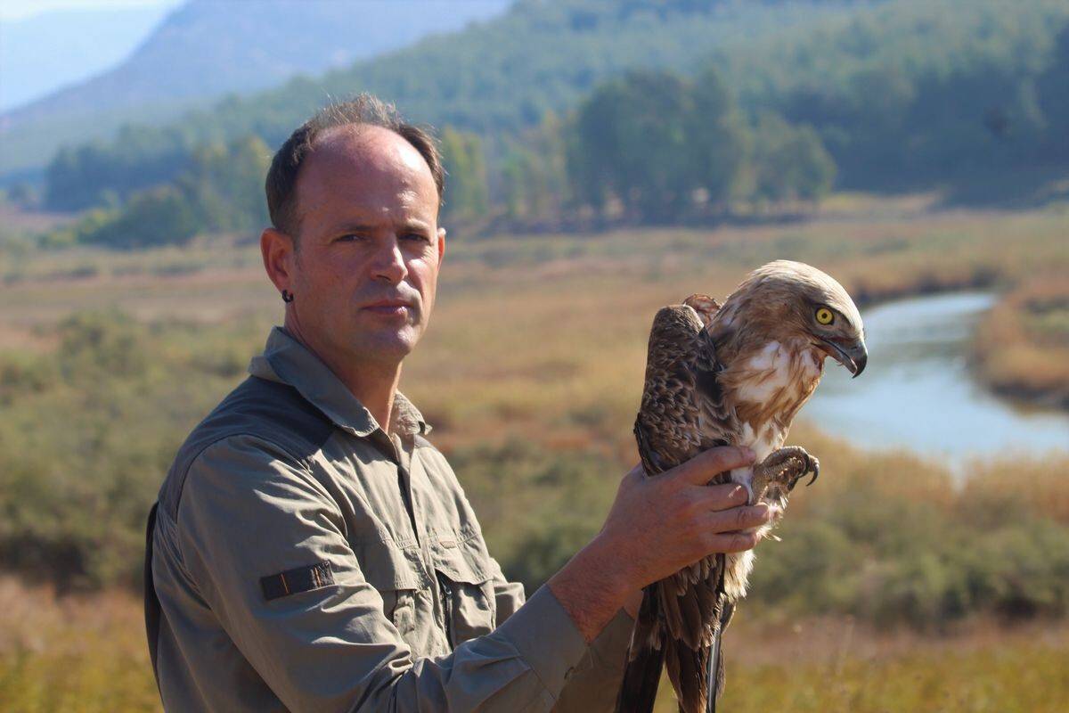 Balıkçıların dikkati, yılan kartalını kurtardı