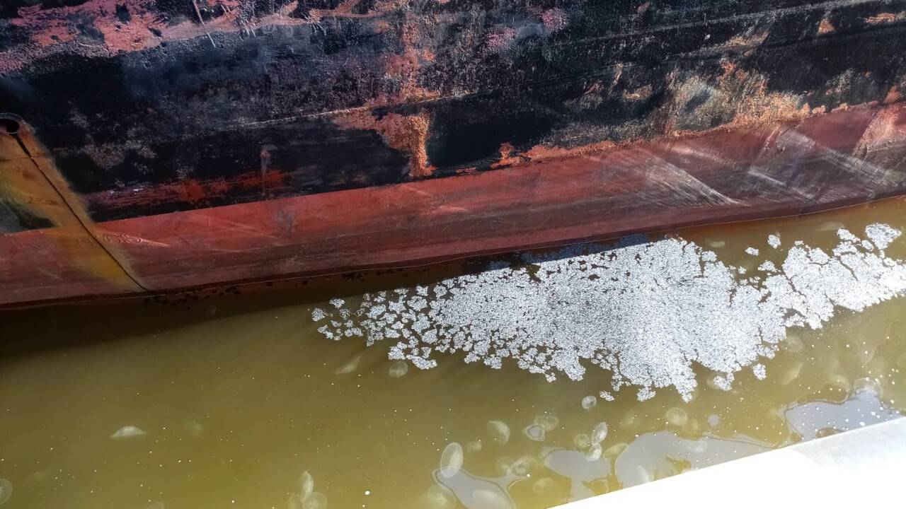 Denizi siyaha bürüyen gemiye rekor ceza