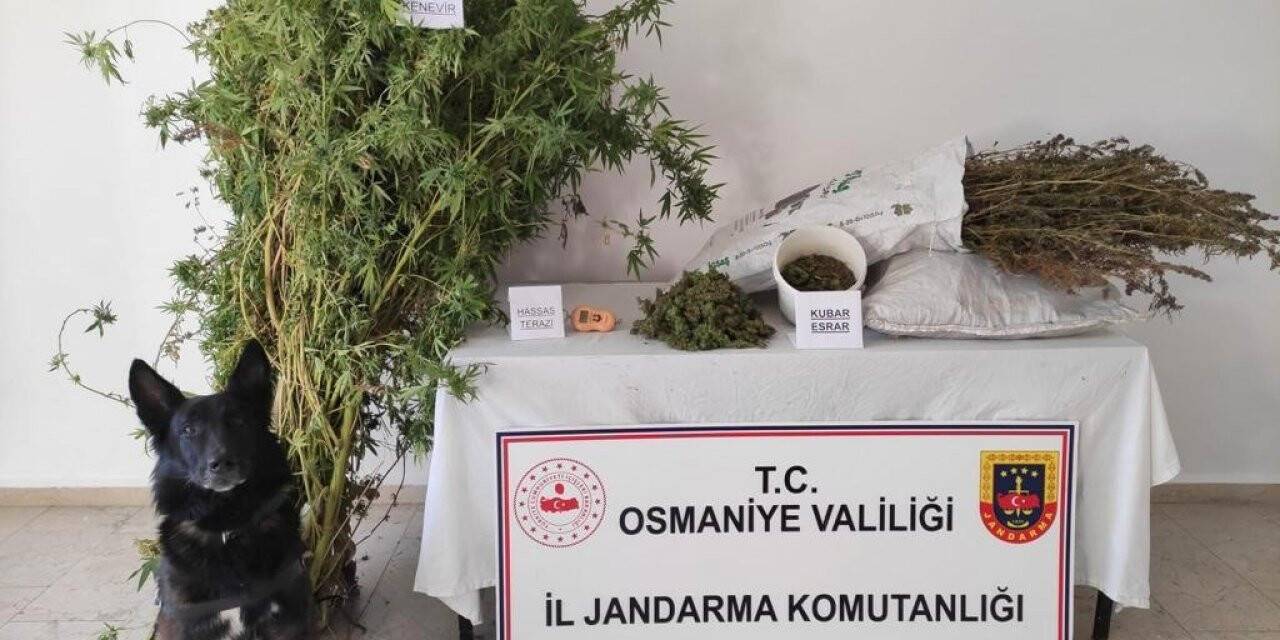 Osmaniye’de uyuşturucu operasyonu