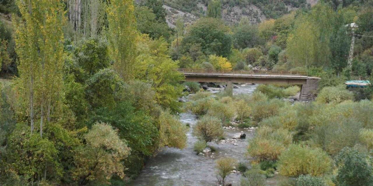 Sonbaharla birlikte Şırnak sarardı, kartpostallık görseller oluştu