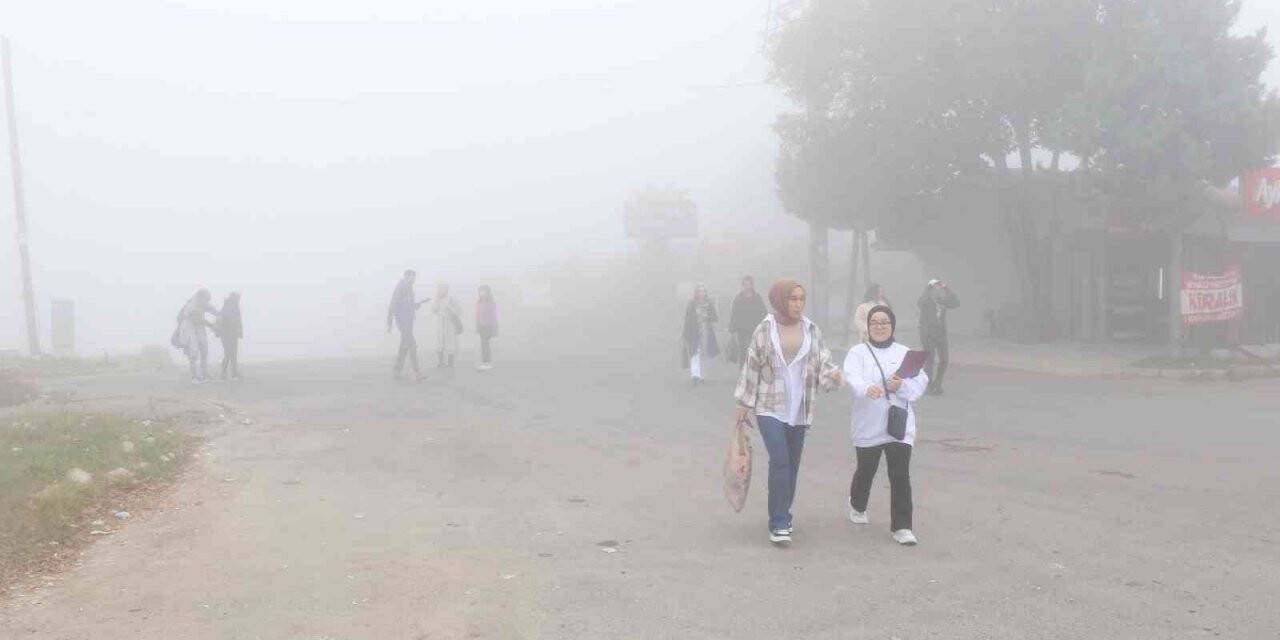 Sakarya’da sis etkili oluyor