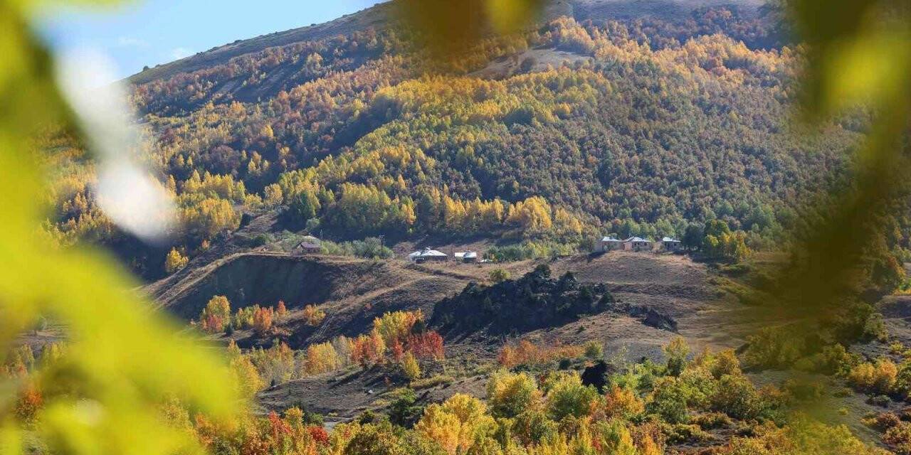 Sonbahar renklerine bürünen Tunceli’de doğa, görsel şölen sunuyor