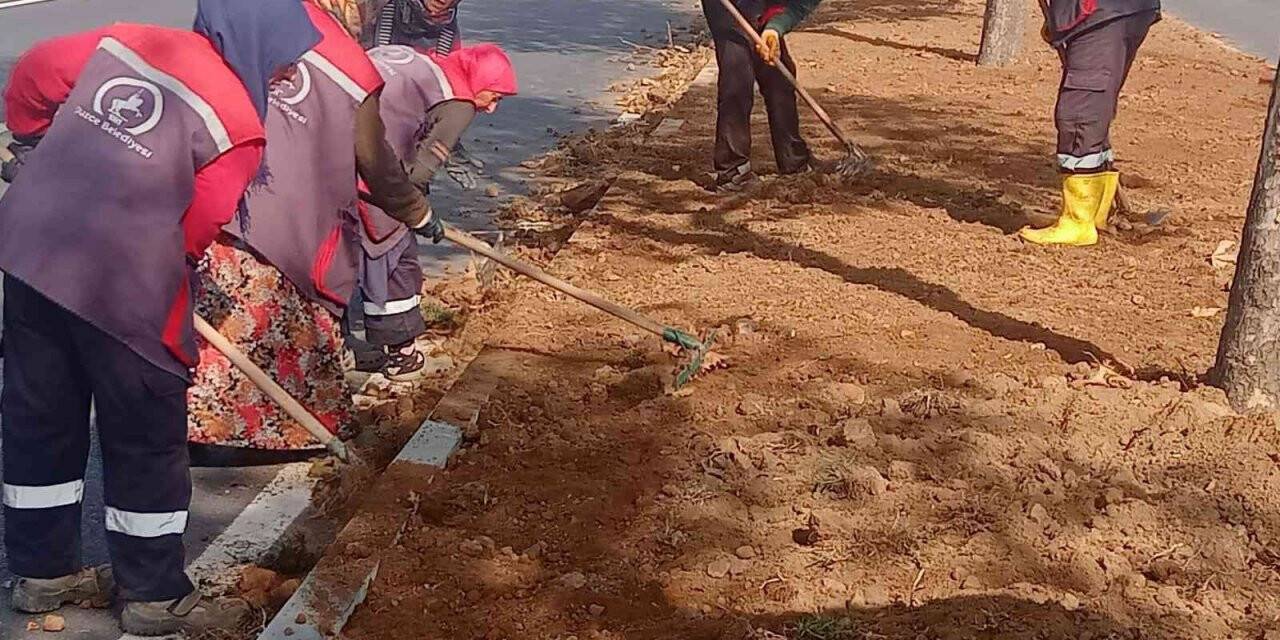 Düzce’yi kadınlar güzelleştiriyor