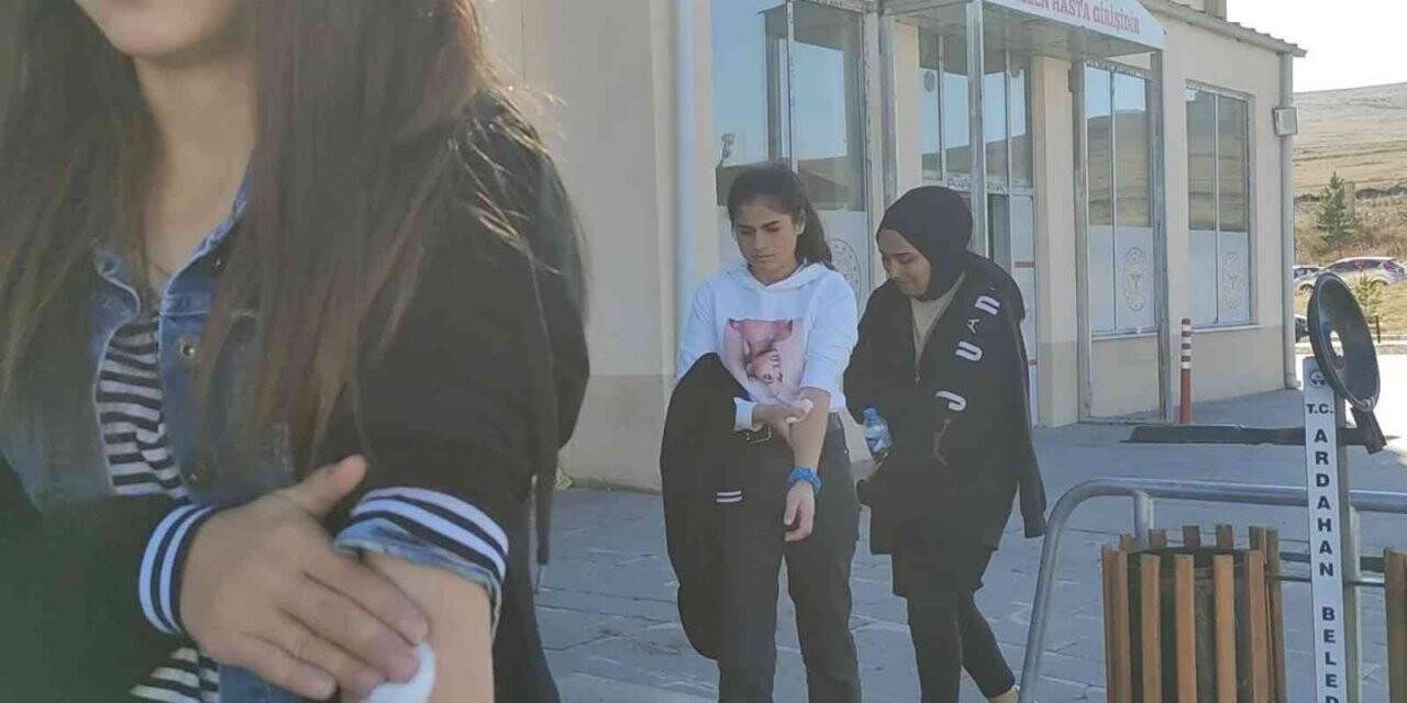 Ardahan’da gıda zehirlenmesi: 25 öğrenci hastaneye kaldırıldı