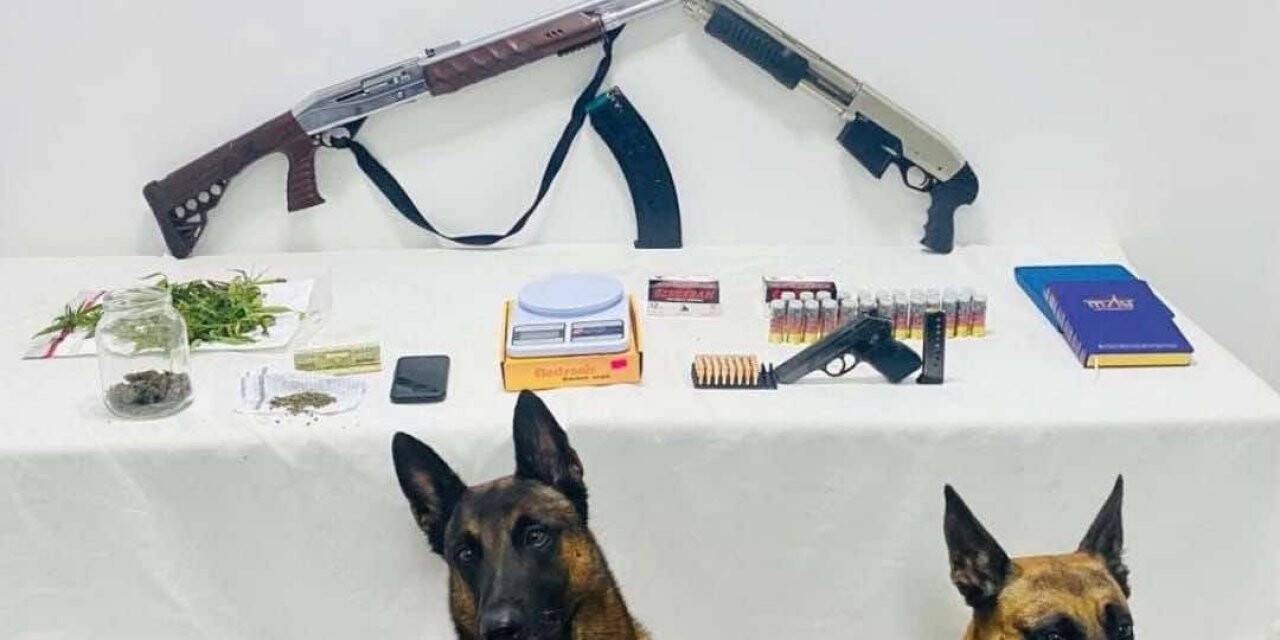 Süper ikili iş başında