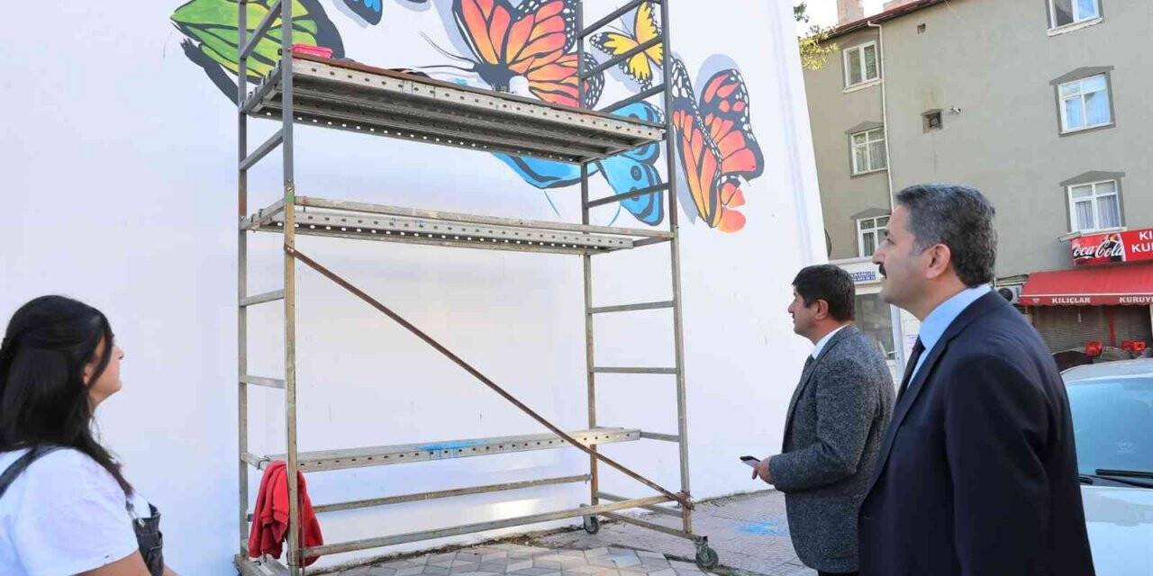 Tokat’ta cadde duvarları renkleniyor