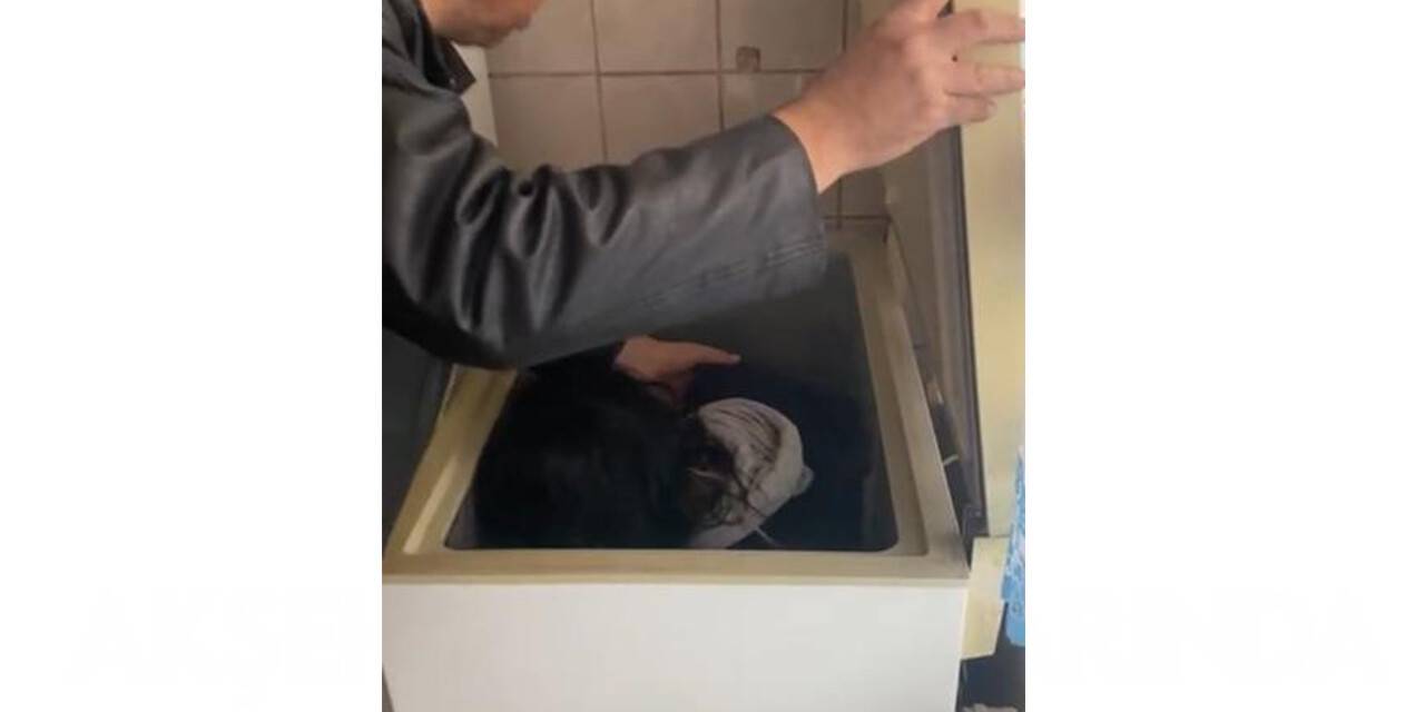 4 suçtan aranan kadın derin dondurucudan çıktı