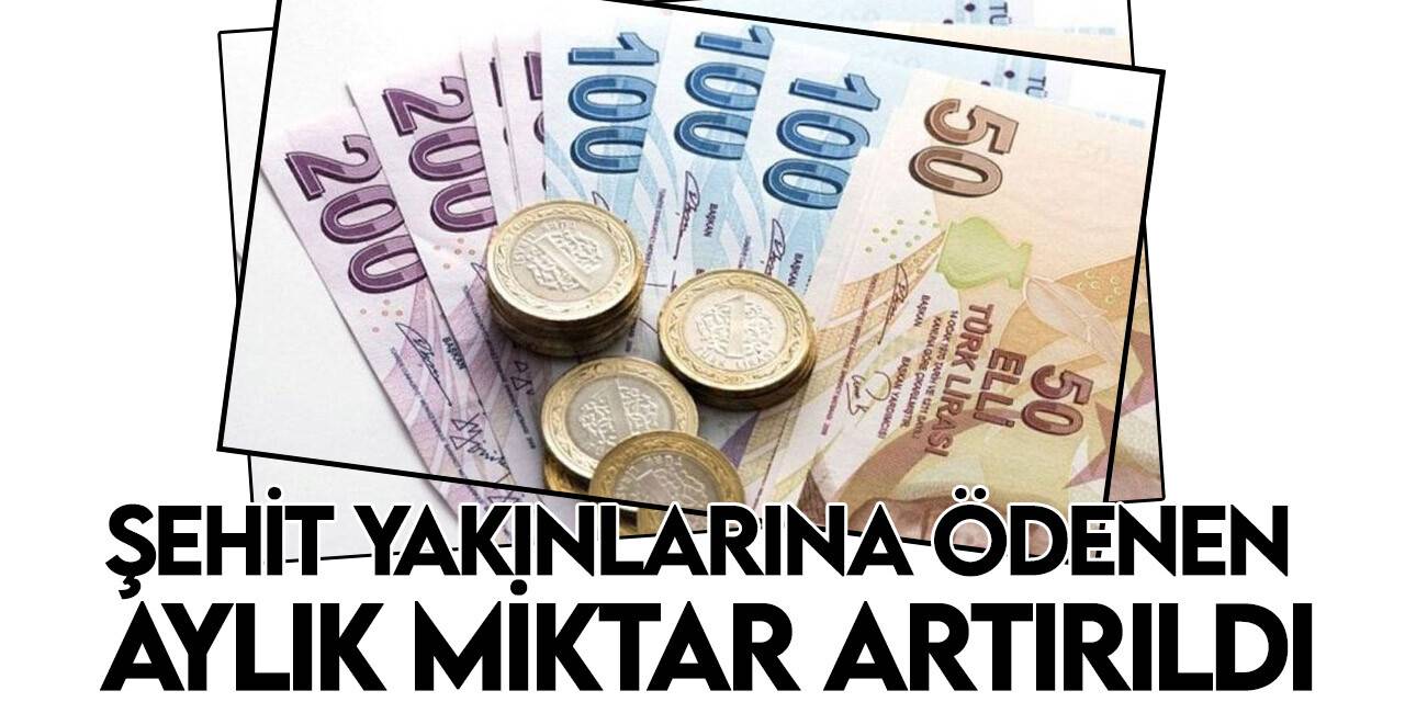 Türkiye Şehit Yakınları ve Gaziler Dayanışma Vakfı ödeme miktarlarını artırdı