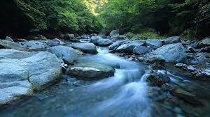 Su kaynaklarına bu yıl bırakılan yavru balıkların sayısı 84 milyonu geçecek