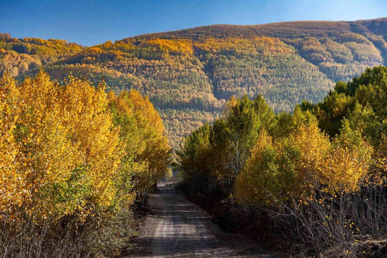 Erciyes Dağı'nın eteklerinde  sonbahar güzelliği