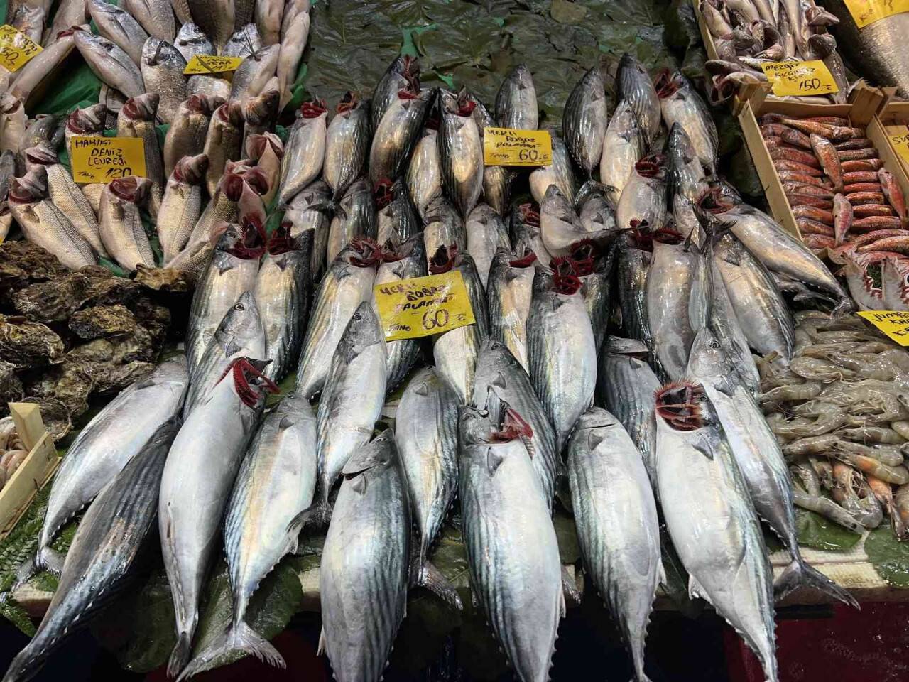 Tezgahlarda balık bolluğu sürüyor