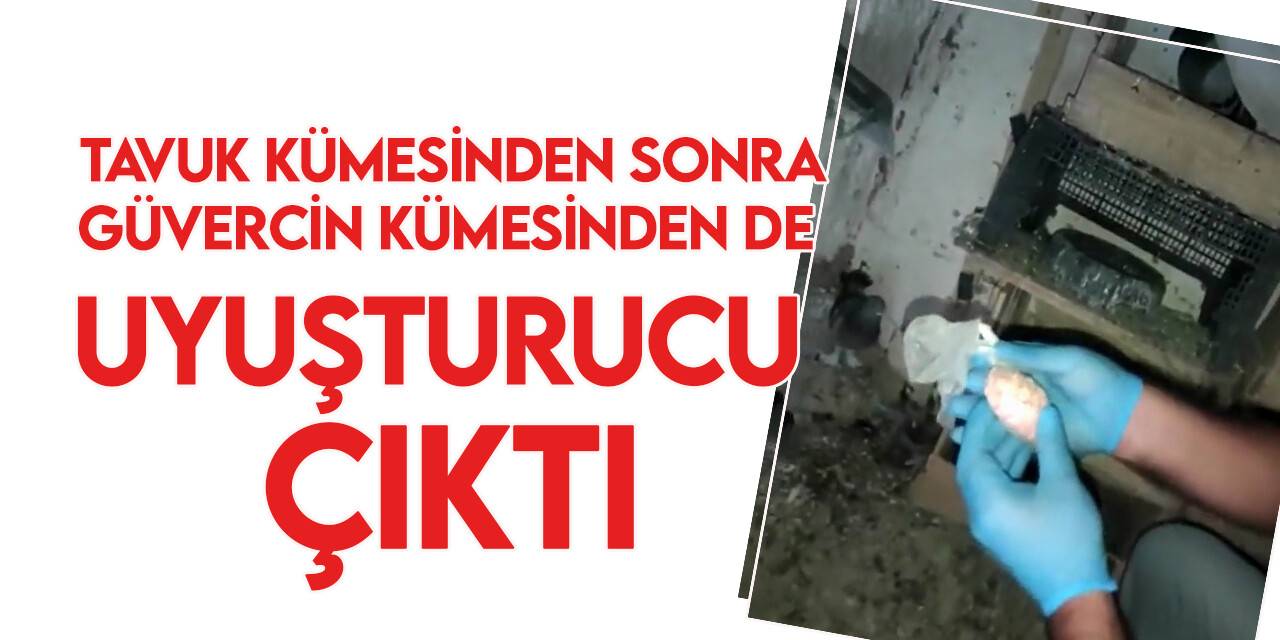 Konya'da zehir tacirleri uyuşturucuyu güvercin kafesine gizlemiş