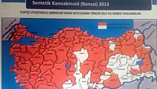 Sadece 22 ilde Bonzai yakalanmadı