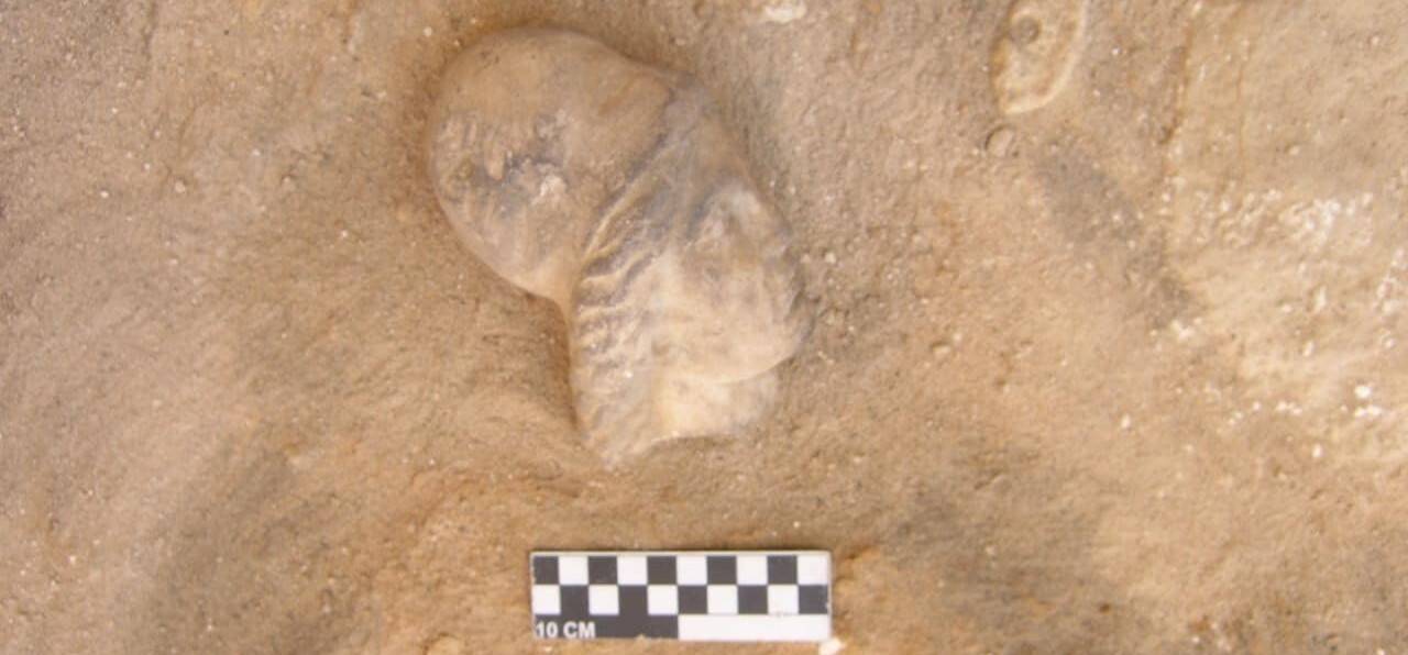 Kleopatra'nın kayıp mezarı bulunmuş olabilir