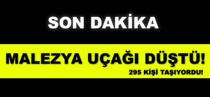 295 Kişiyi Taşıyan Malezya Uçağı Düştü