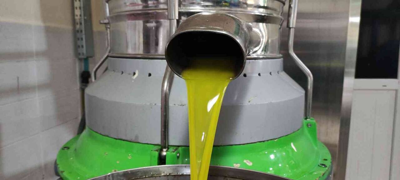 Üretimin yarısı ihracata gidiyor