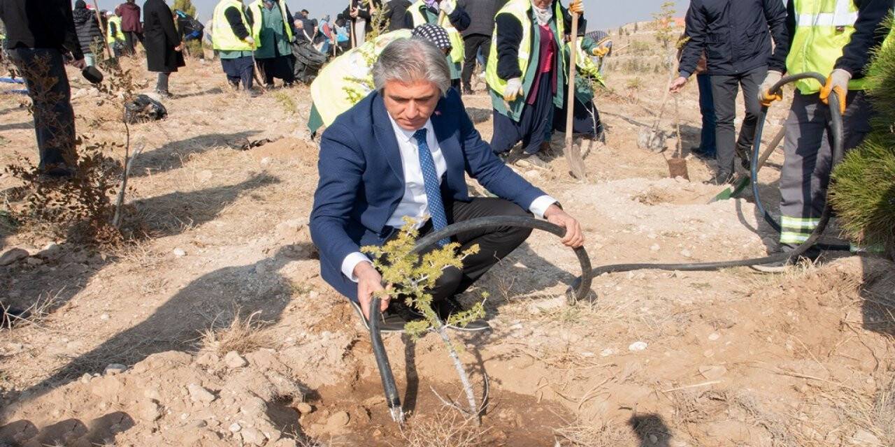 SÜ, Milli Ağaçlandırma Günü’nde 500 fidanı toprakla buluşturdu