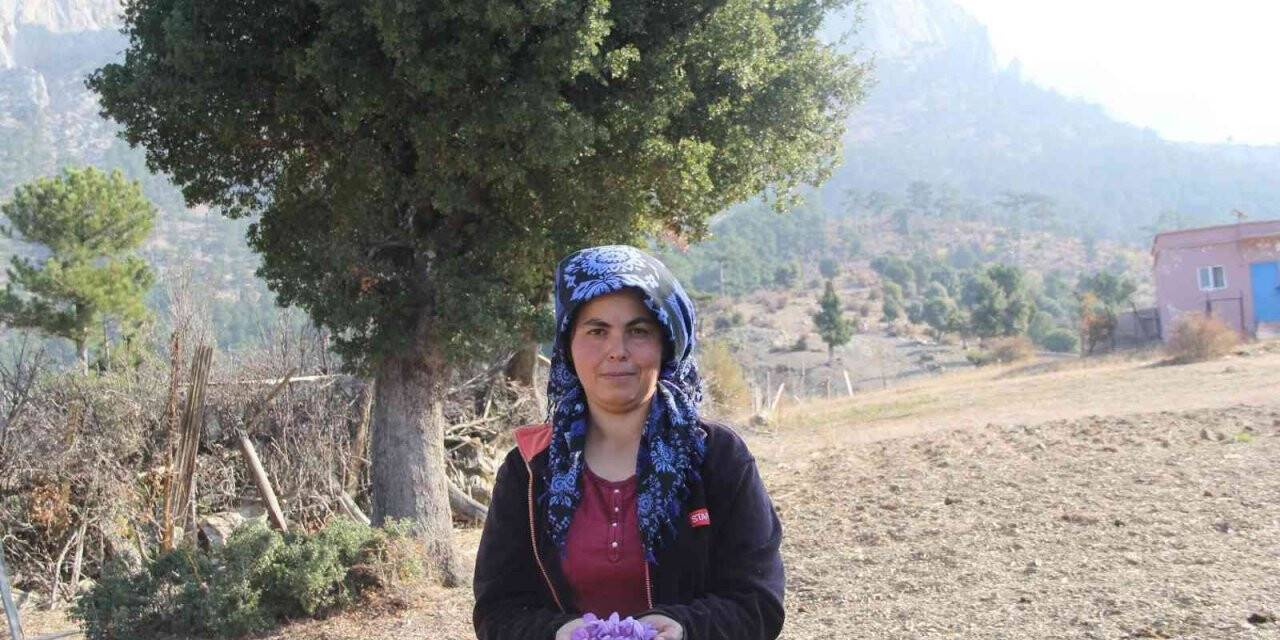 Kilosu 100 bin liradan satılıyor, 80 bin çiçekten yarım kilo üretiliyor