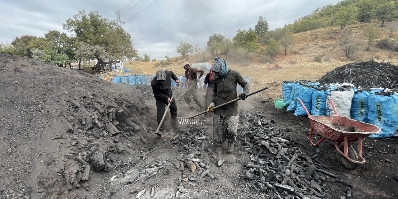 Torosların eteklerindeki Hadim'de mangal kömürü üretiyorlar