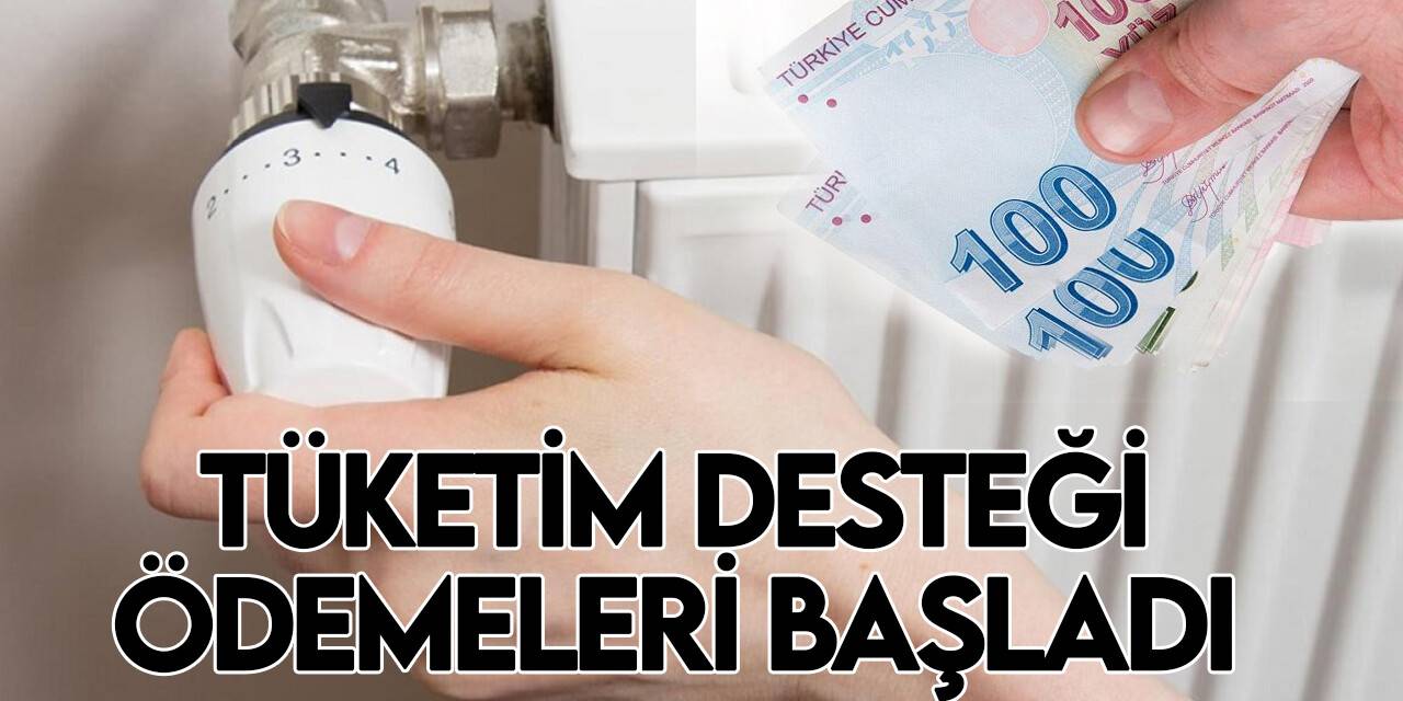 Doğal Gaz Tüketim Desteği ödemeleri başladı