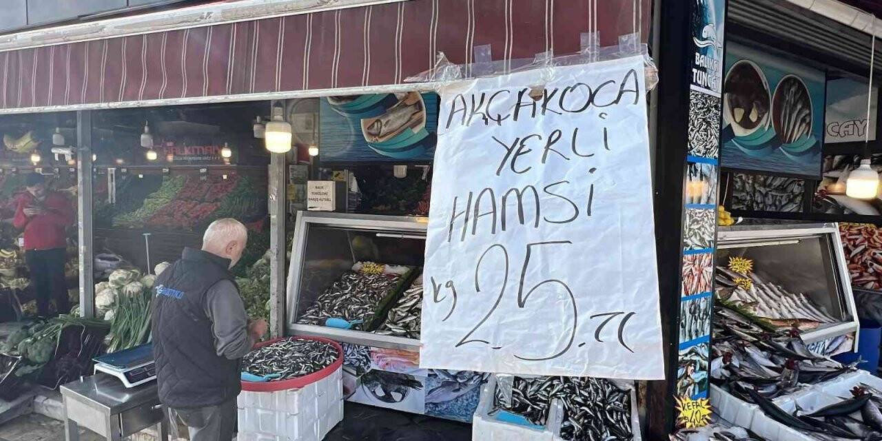 Palamuttan sonra gelen hamsi yüz güldürüyor