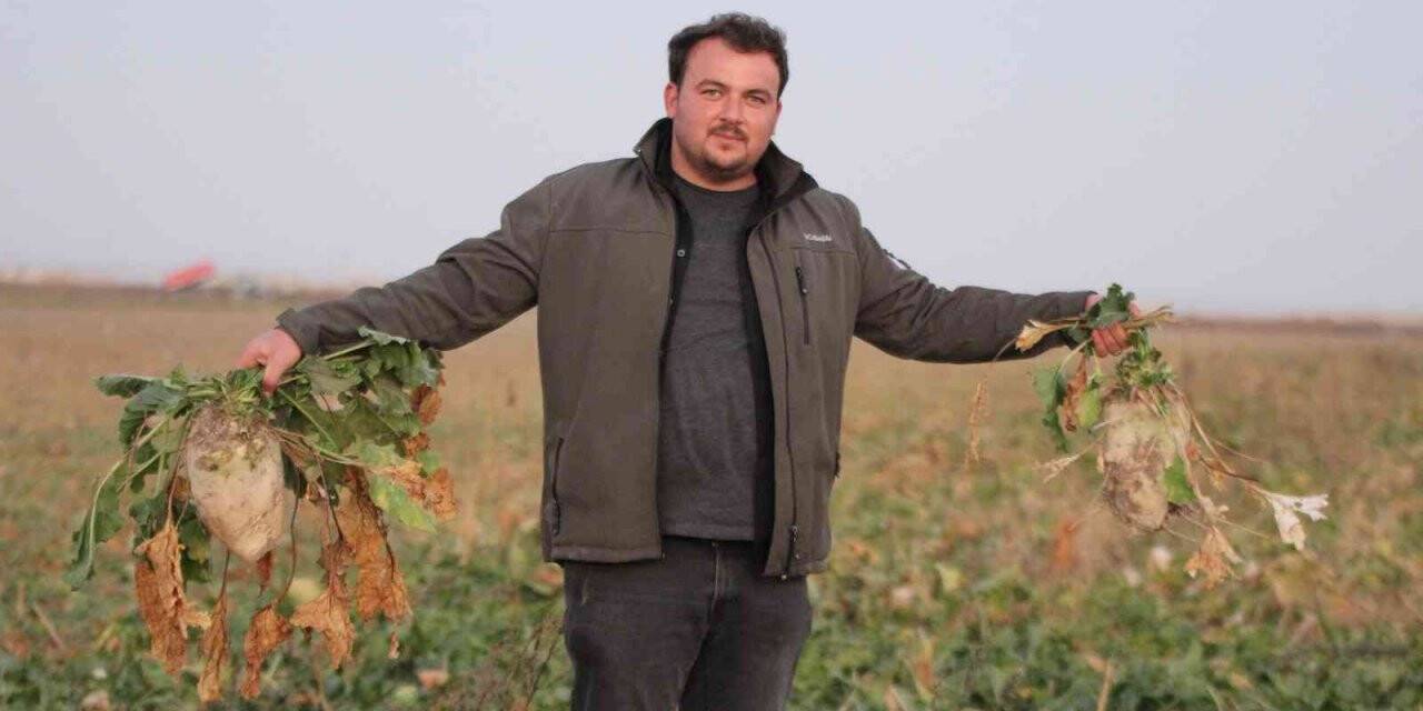 Konya’da 1 milyon dekar alanda şeker pancarı hasadı devam ediyor