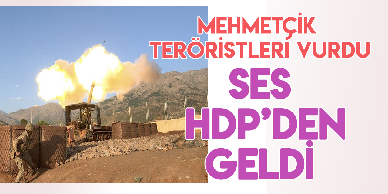 Pençe-Kilit Hava Operasyonu HDP'yi rahatsız etti!
