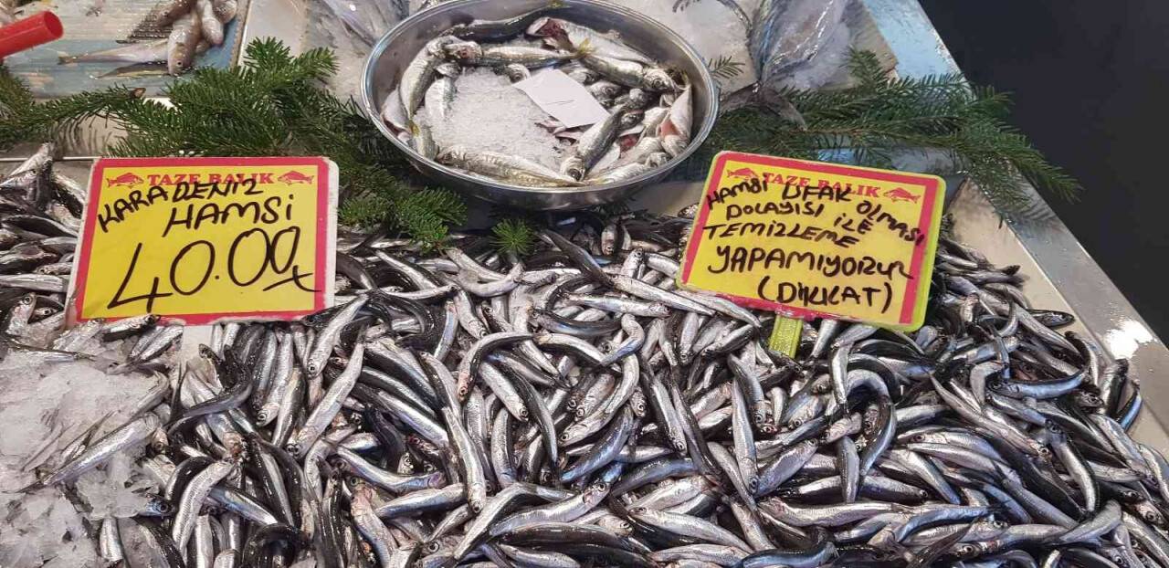 Hamsi 40 liradan tezgahlardaki yerini aldı